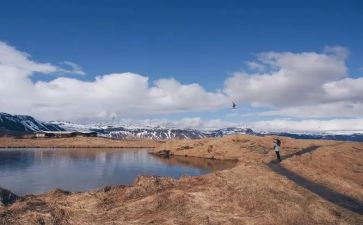 让梦想飞作文推荐7篇