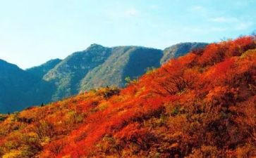 爬香山作文优质7篇