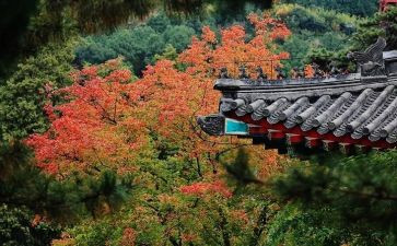 爬香山的作文600字5篇