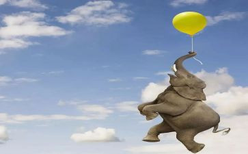 想象的作文500字7篇