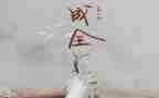 梦与现实作文800字7篇