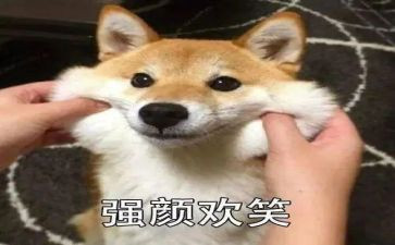 微笑培训心得6篇