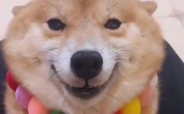 从微笑开始的作文精选5篇
