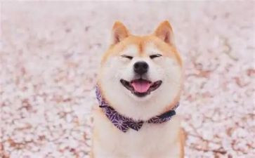者的微笑演讲稿通用8篇