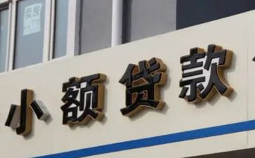 小贷工作总结7篇