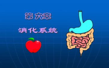 消化内科的述职报告8篇