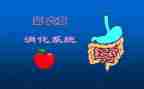 消化内科的述职报告8篇