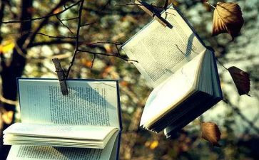 5百字小说作文7篇