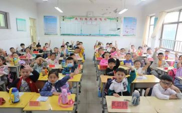 2024年小学安全教育总结8篇