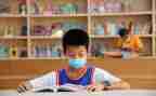 小学级教师工作计划模板6篇