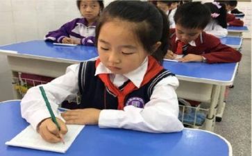 小学生个人典型事迹材料范文5篇