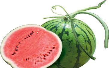 切西瓜小班教案优秀7篇