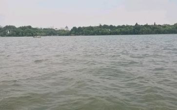去西湖的心得体会7篇