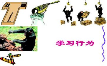 教师违反职业行为处理办法心得体会7篇