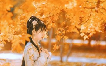 作文开在心里的花700字7篇