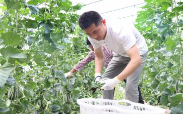 新农村调查实践报告范文5篇