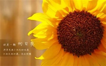 新一年度工作计划5篇