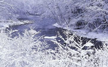 学校除雪心得体会优质8篇