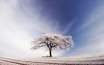 我变成雪作文400字优质8篇
