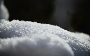 描写雪的作文200字通用7篇