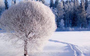 我变成雪作文400字5篇