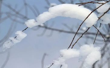 大学生除雪活动总结模板6篇