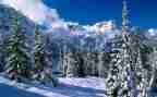 环卫除雪工作计划7篇