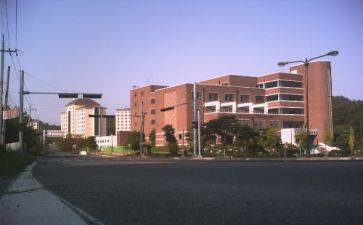 中学部教学总结7篇