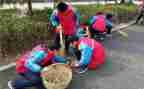 学雷锋标兵的事迹7篇