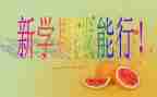 大学里学期个人总结参考7篇