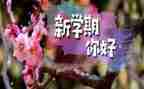 大学三学期个人总结通用7篇
