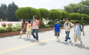 通用学生个人总结优质7篇