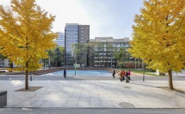 学校国家安全教育日活动方案8篇