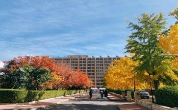 学校师德师风工作报告6篇