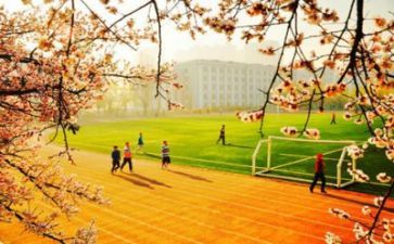 学校食堂管理工作计划6篇