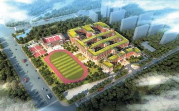 学校教师的述职报告参考7篇