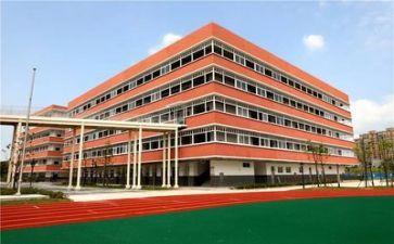 小学校长个人总结7篇