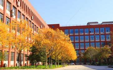 学校年度工作报告总结6篇
