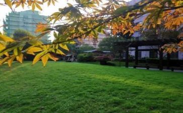 学校财务自查报告最新5篇