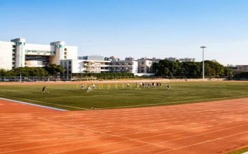 学校校长个人总结5篇
