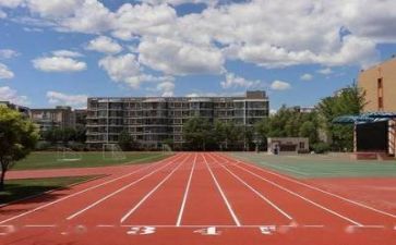 学校个人总结工作总结7篇