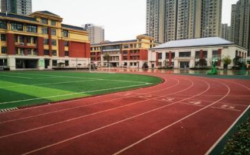 学校财务自查报告参考8篇