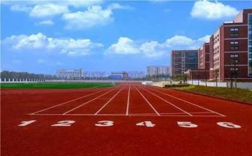在学校演讲稿参考7篇