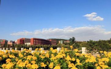学校阶段工作总结6篇