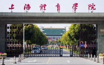 2023学院就业工作计划6篇