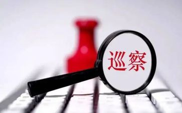 向市巡察组工作汇报材料6篇