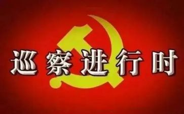 镇向巡察工作报告模板7篇