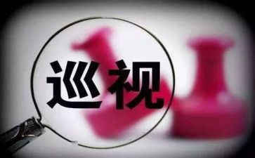 巡查组工作计划7篇