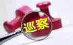 巡察干部个人述职述廉报告8篇