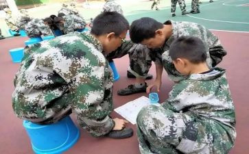 暑期培训学生们的心得体会5篇